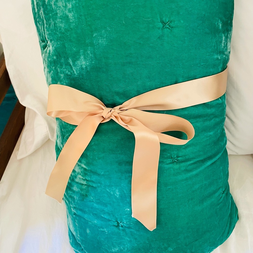 Opalhouse faux velvet quilt & matching pillow.